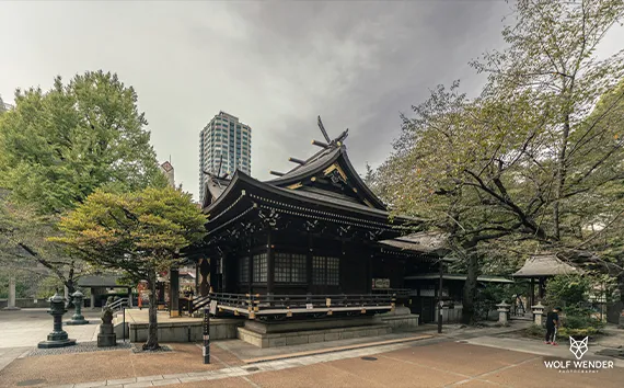 Wender Media - SEO Agentur Essen