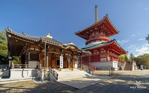 SEO Agentur Essen - Suchmaschinenoptimierung in Ihrer Nähe