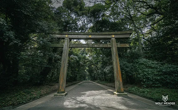 SEO Agentur Bochum - Suchmaschinenoptimierung in Ihrer Nähe