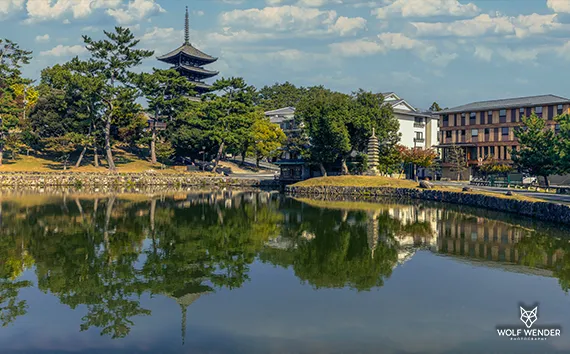 SEO-Texte - Professionelle Texterstellung fuer bessere Rankings