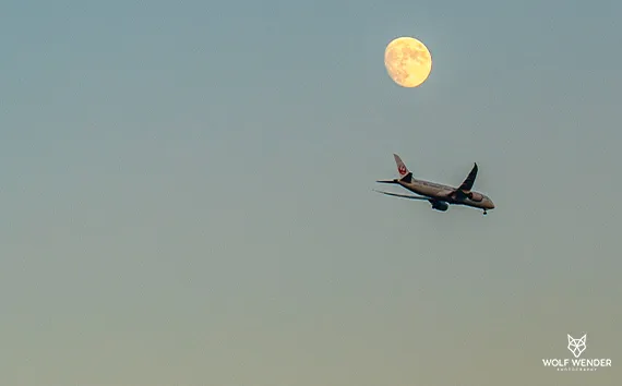 Landingpage-Optimierung - Mehr Conversions durch bessere Seiten