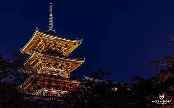 SEO Agentur Essen - Öffnungszeiten und Erreichbarkeit