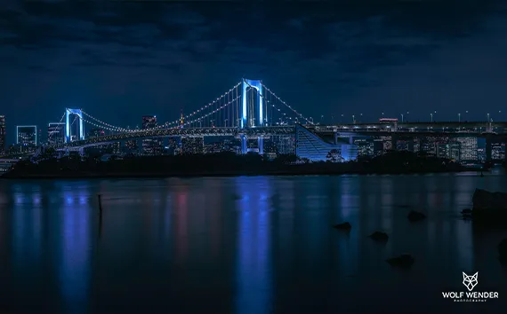 SEO-Analyse und Website-Audit - Professionelle Optimierungsanalyse