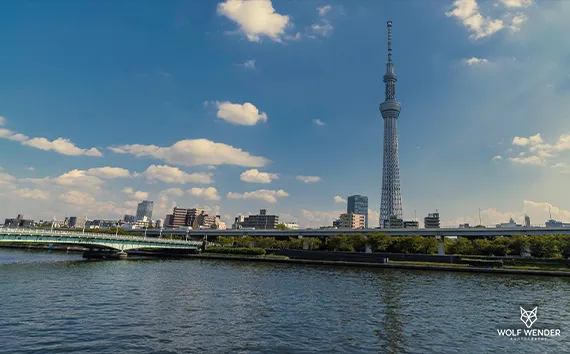 FAQ - Häufig gestellte Fragen zu SEO in Essen