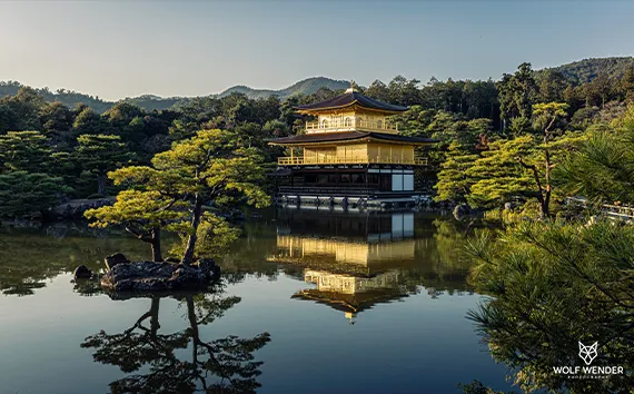 SEO Webdesign - Websites die bei Google gefunden werden