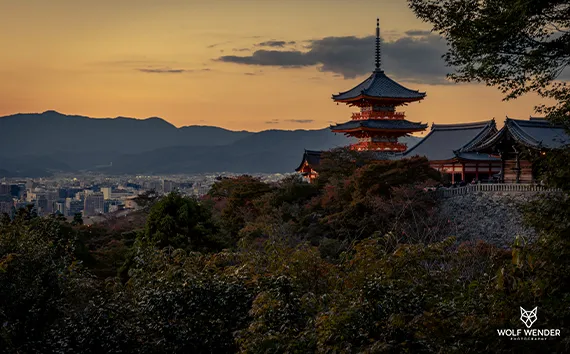 Local SEO - Lokale Sichtbarkeit für Ihr Unternehmen in Essen